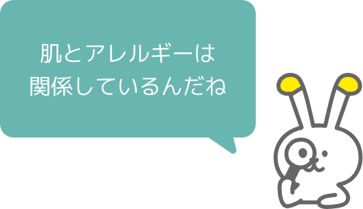 肌とアレルギーは関係しているんだね